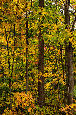 Newton Mass_DSC_9815